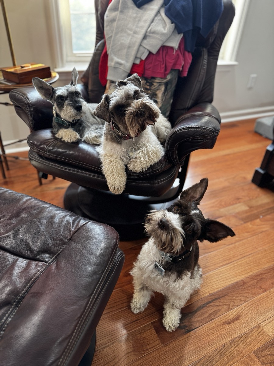 Lucca and Bosco